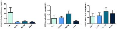 Metallopeptidades 2 and 9 genes epigenetically modulate equine endometrial fibrosis